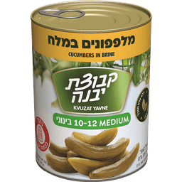 מלפפון 10-12 מלח 320
