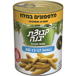 מלפפון 13-17 מלח 540