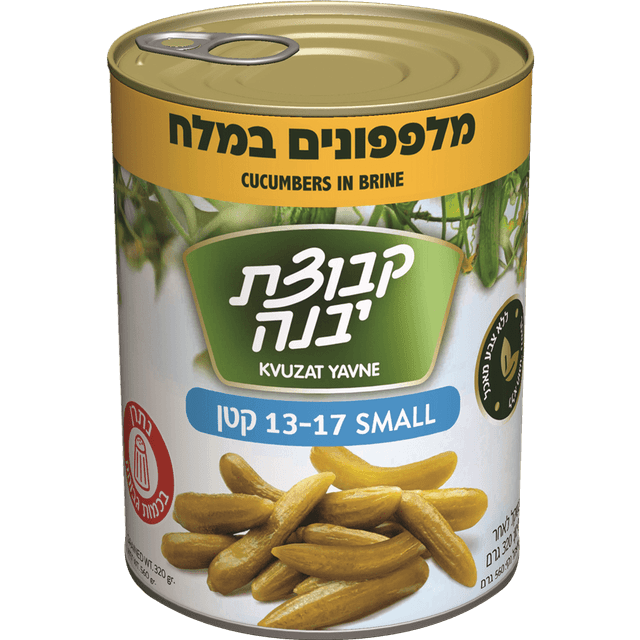 מלפפון 13-17 מלח 540