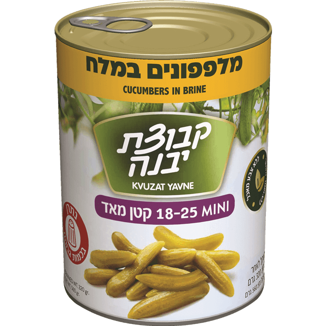 מלפפון במלח 25-18 560 ג' יבנה
