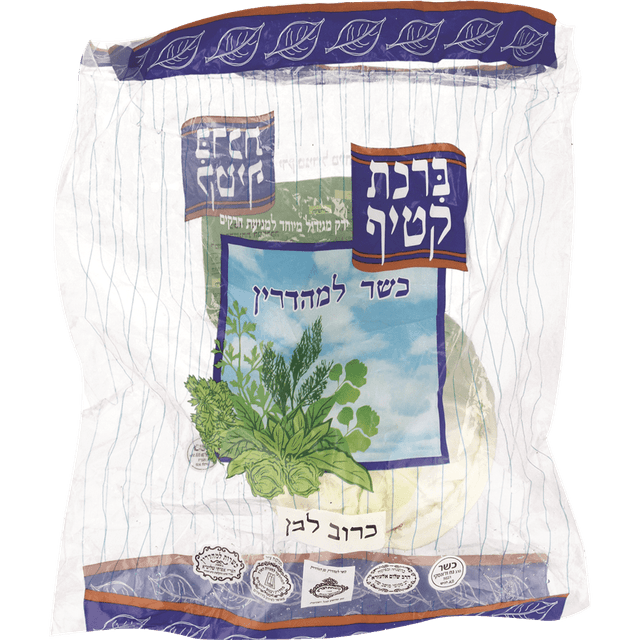 כרוב לבן מהדרין קטיף
