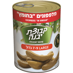 מלפפון בחומץ 9-7 %20 560 ג' יבנה