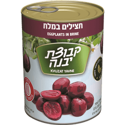 חצילים במלח קבוצת יב