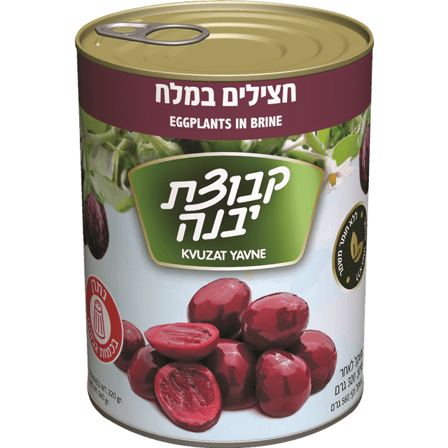 חצילים במלח קבוצת יב