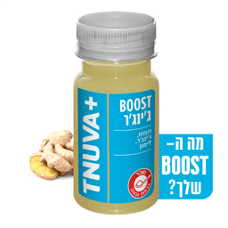 בוסט גינגר תנובה 100 מ"ל