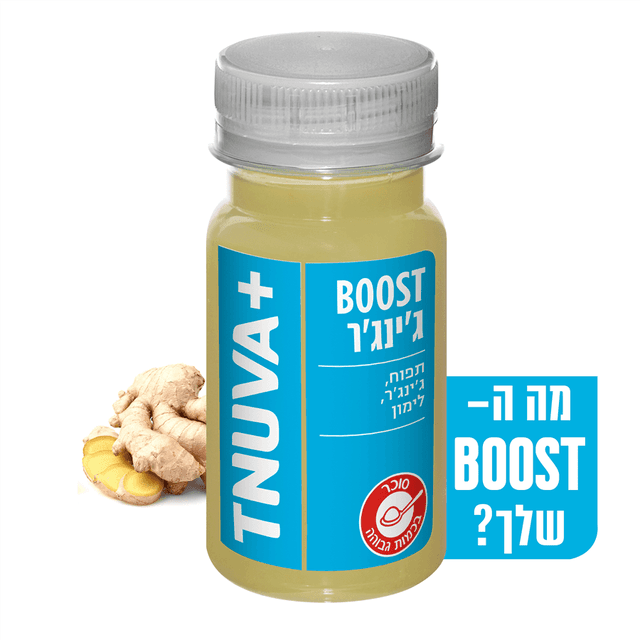 בוסט גינגר תנובה 100 מ"ל