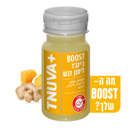 בוסט גינגר לימון-דבש