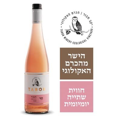 הר רוזה 2020