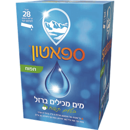 SPATONE APPLE IRON LIQ 28*25 ML