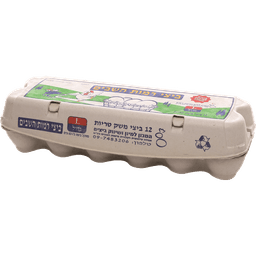 ביצים רגילות 12 יח L