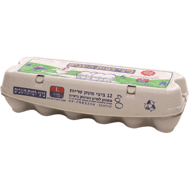 ביצים רגילות 12 יח L