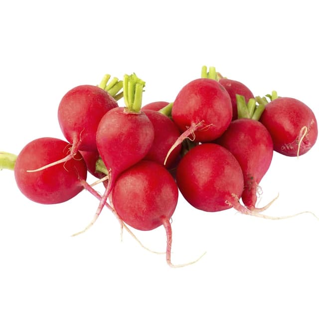 צנונית