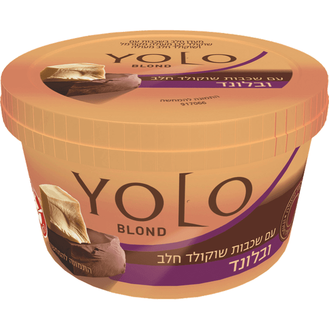 YOLO שכבות