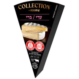 גבינת ברי 24%