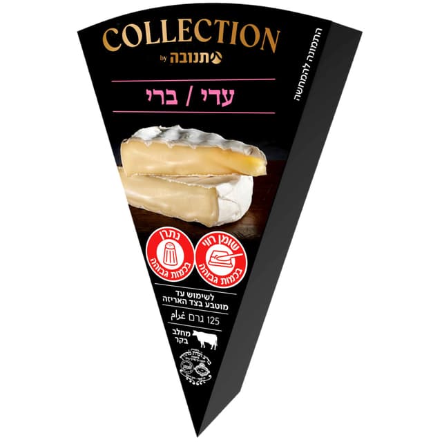 גבינת ברי 24%