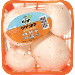 פטריות שמפניון חסלט