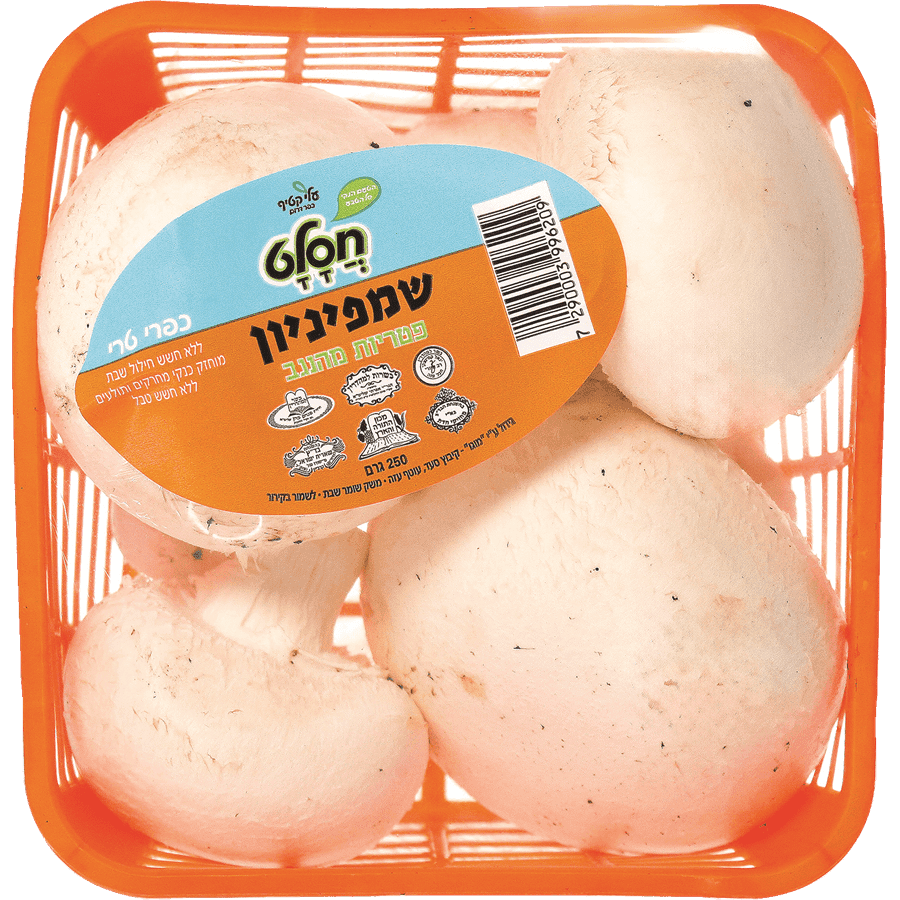 פטריות שמפניון חסלט