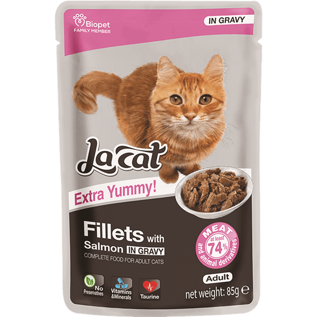 פאוצ נתחוני לה קט עם