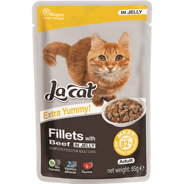 פאוצ נתחוני לה קט עם