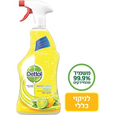 דטול - תרסיס לניקוי כללי 750 מ"ל