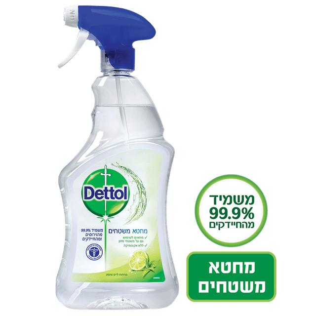 דטול - תרסיס חיטוי וניקוי אנטי בקטריאלי 750 מ"ל