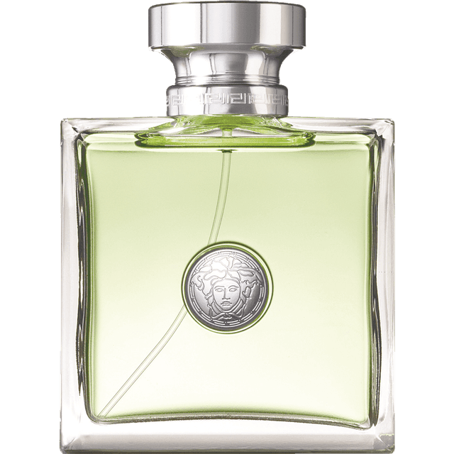 VER.VERSENSE EDT 100ML SP