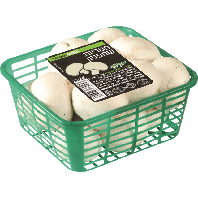 פטריות שמפיניון ליח