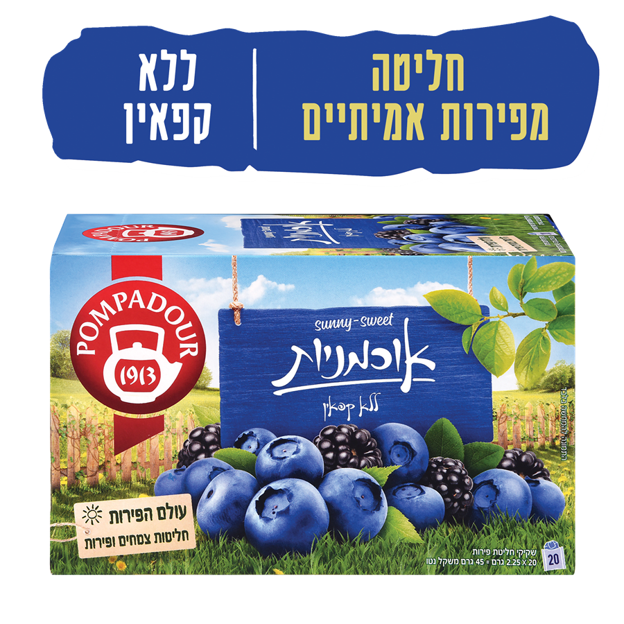 חליטת פירות אוכמניות 45 ג' פומפדור