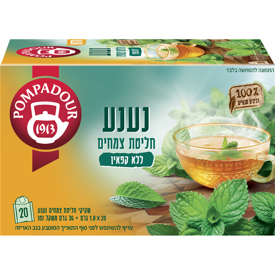 פומפדור - חליטת צמחים נענע 30 גרם
