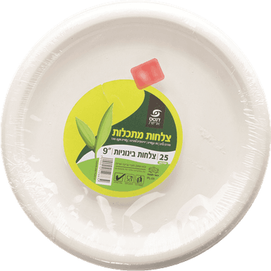צלחת 9 מתכלה