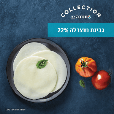 מוצרלה חריץ במשקל 20