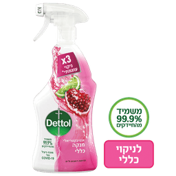 דטול - תרסיס חיטוי וניקוי בניחוח לימון רימונים 750 מ"ל