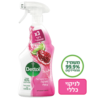 דטול - תרסיס חיטוי וניקוי בניחוח לימון רימונים 750 מ"ל