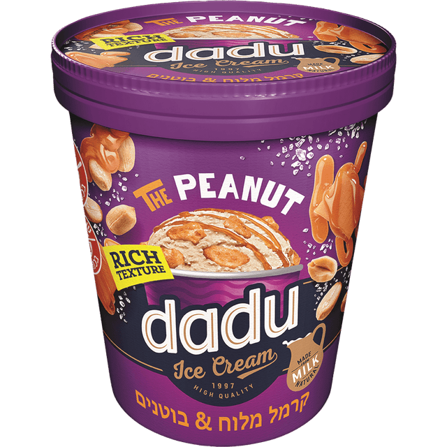 גלידה שמנת וניל עם קרמל מלוח ובוטנים מקו