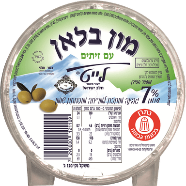 גבינה מותכת לייט עם