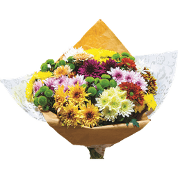 זר מיוחד מס 15