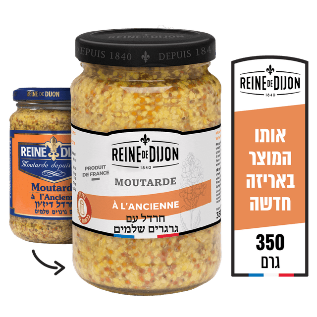 חרדל דיזון ריין350