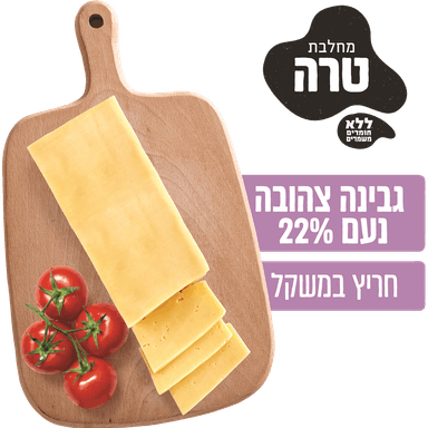 נעם גבינה צהובה 22% במשקל