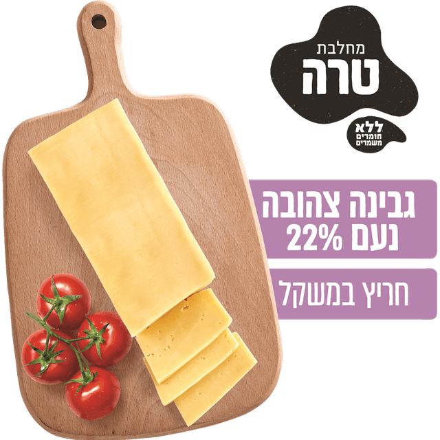 נעם גבינה צהובה 22% במשקל