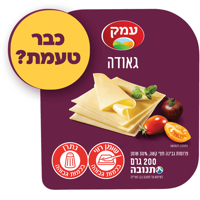 פרוסות גאודה העמק %3