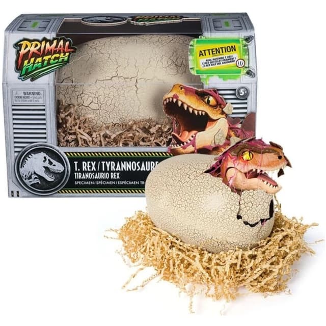 ביצת דינוזאור בוקעת בהפתעה מפרץ ההרפתקאות - ToySale חנות הצעצועים הזולה במדינה