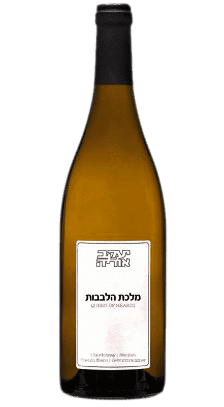 יעקב אוריה מלכת הלבבות