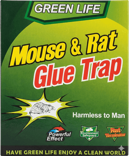 מלכודת דבק לעכברים וחולדות – עוצמתית ובטוחה קונים רק באטרקציה מהיבואן לצרכן