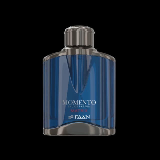 פאן פרפיומס מומנטו מטריקס אדפ 100מ״ל FAAN PARFUMS MOMENTO MATRIX EDP 100ML