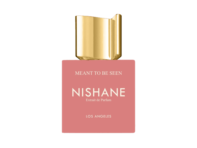 מינט טו בי סין נישאנה בושם יוניסקס אקסטריט דה פרפיום 100 מ״ל - Meant To Be Seen Nishane Unisex perfume Extrait de Parfum 100ml