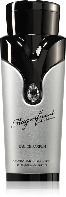 ארמאף מגניפיסנט לגבר 100 מל אדפ - Armaf Magnificent for Men 100ml EDP