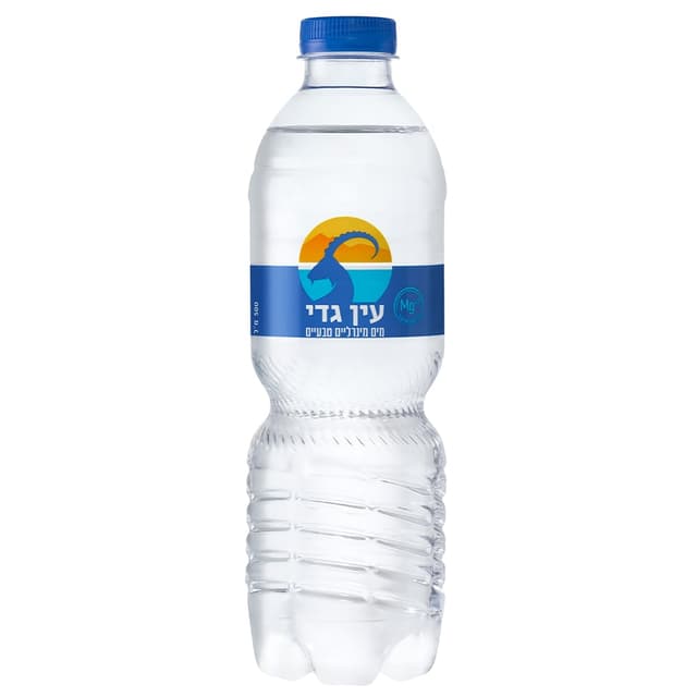 מים מינרלים עין גדי