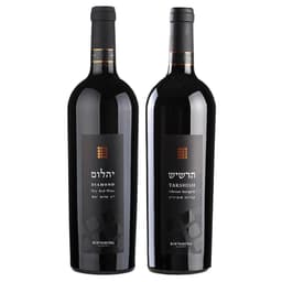 מארז מהודר 2 אבני החושן יהלום + תרשיש