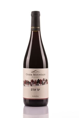 יין יער אודם אדום 75